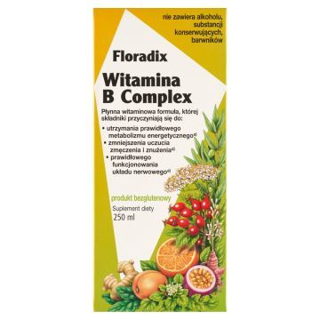 Floradix witamina B complex, płyn, 250 ml